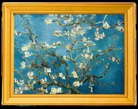 Монета «Цветок миндаля. Винсент ван Гог», 2022 г., Серебро, 62,2 гр., проба 999, ЧАД