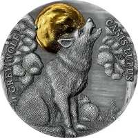 Монета "Волк", 2021 г., Серебро, 15,55 гр., проба 999, ГАНА