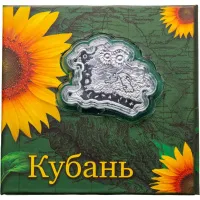 Монета "Кубань", 2016 г., Серебро, 21,65 гр., проба 925, НИУЭ